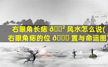 右眼角长痣 🌲 风水怎么说(右眼角痣的位 🐟 置与命运图)